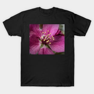 Purple blossom T-Shirt